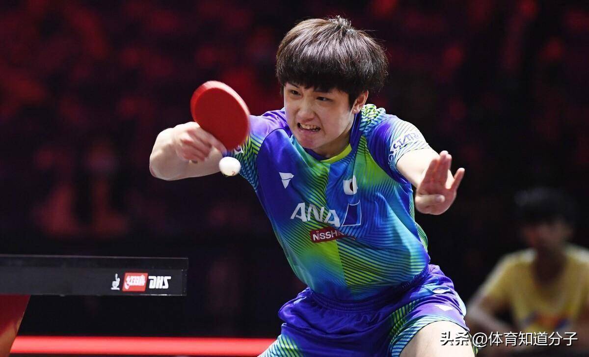 张本智和视屏张本智和视屏，一位乒乓球巨星的成长与风采展示