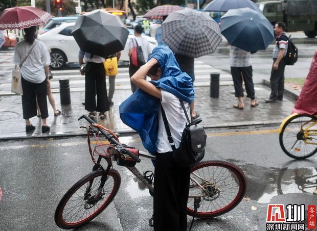 深圳8日全天停课深圳突发，8日全天停课，影响与应对全解析